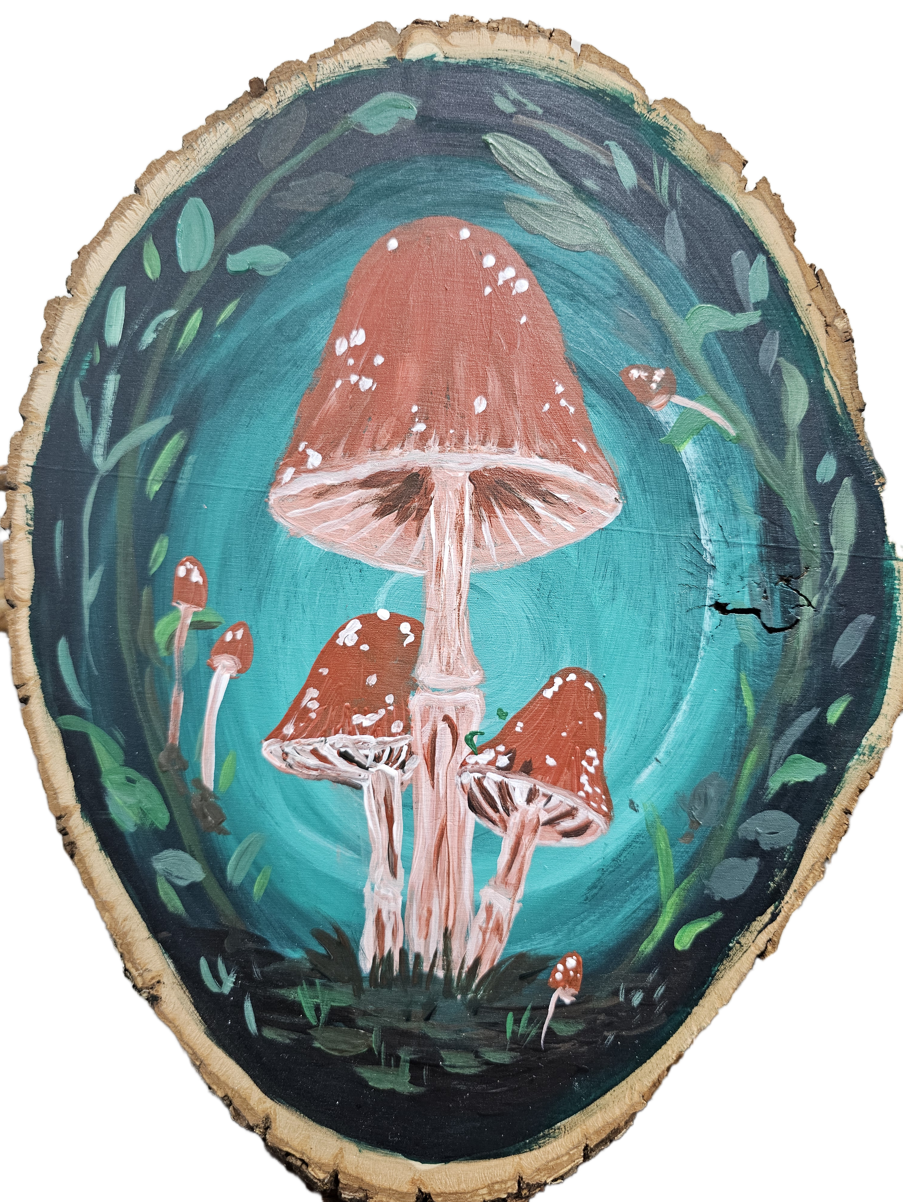 Mushroom Forest